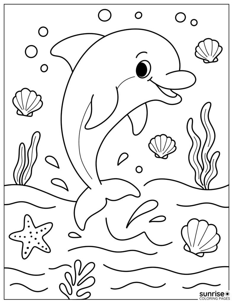 dolphin with sea shells coloring page