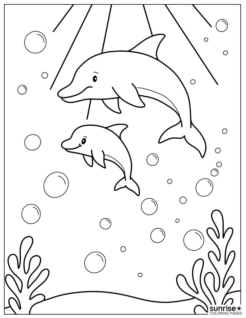 coloring page of dolphins swimming with bubbles