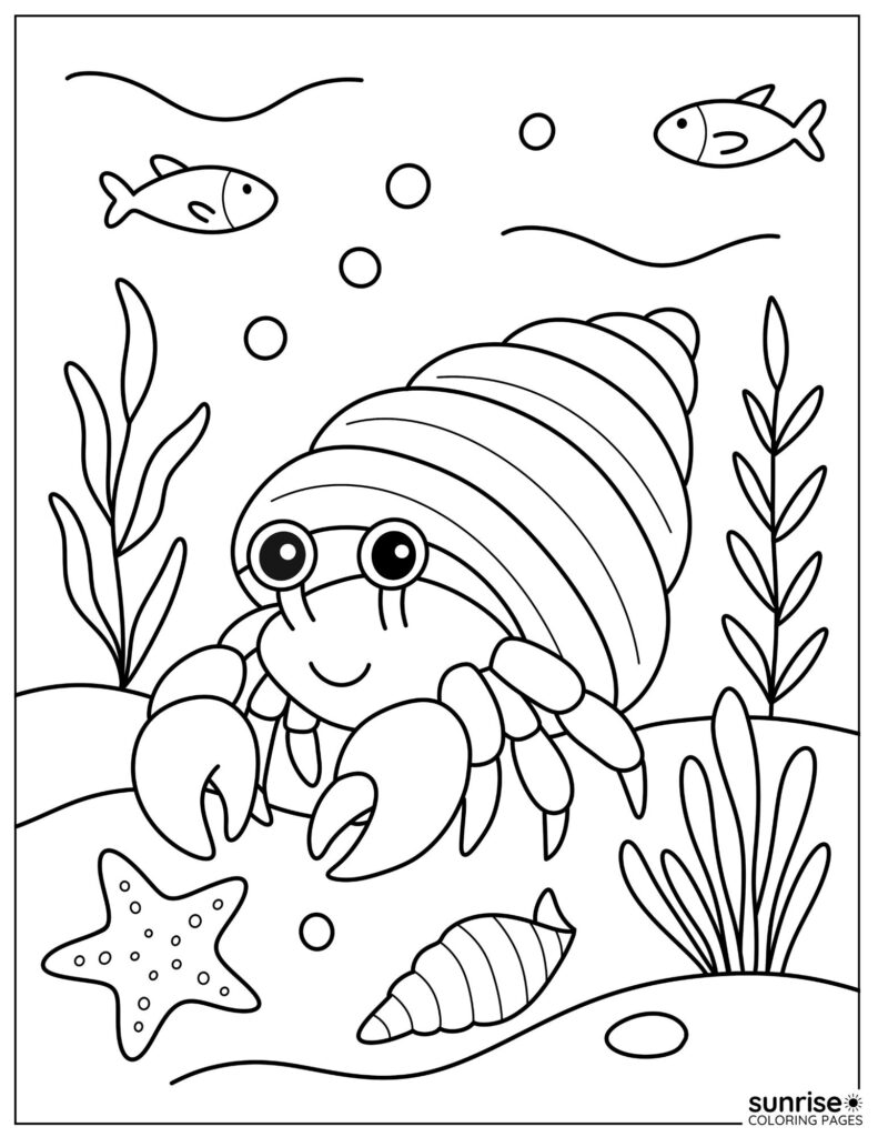 hermit crab coloring page
