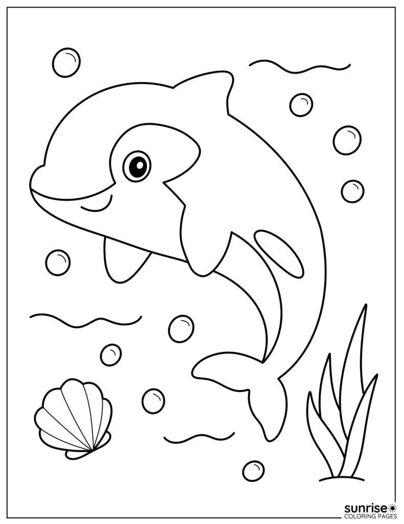 orca coloring page