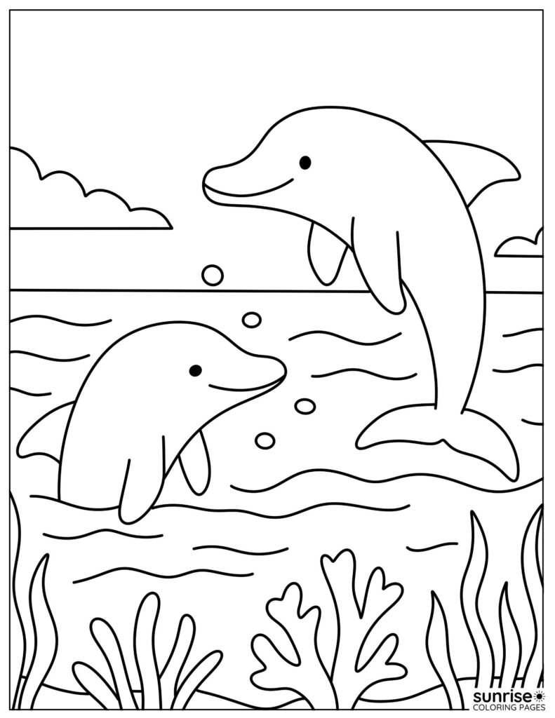 dolphins playing coloring page