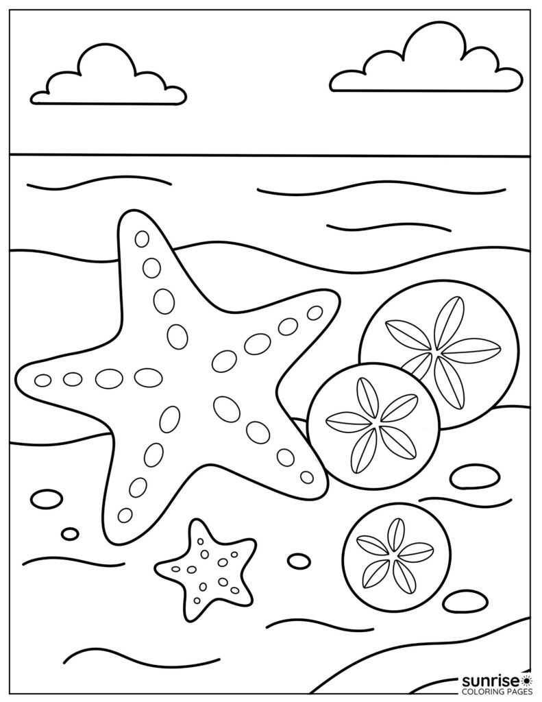 sand dollar and starfish coloring page