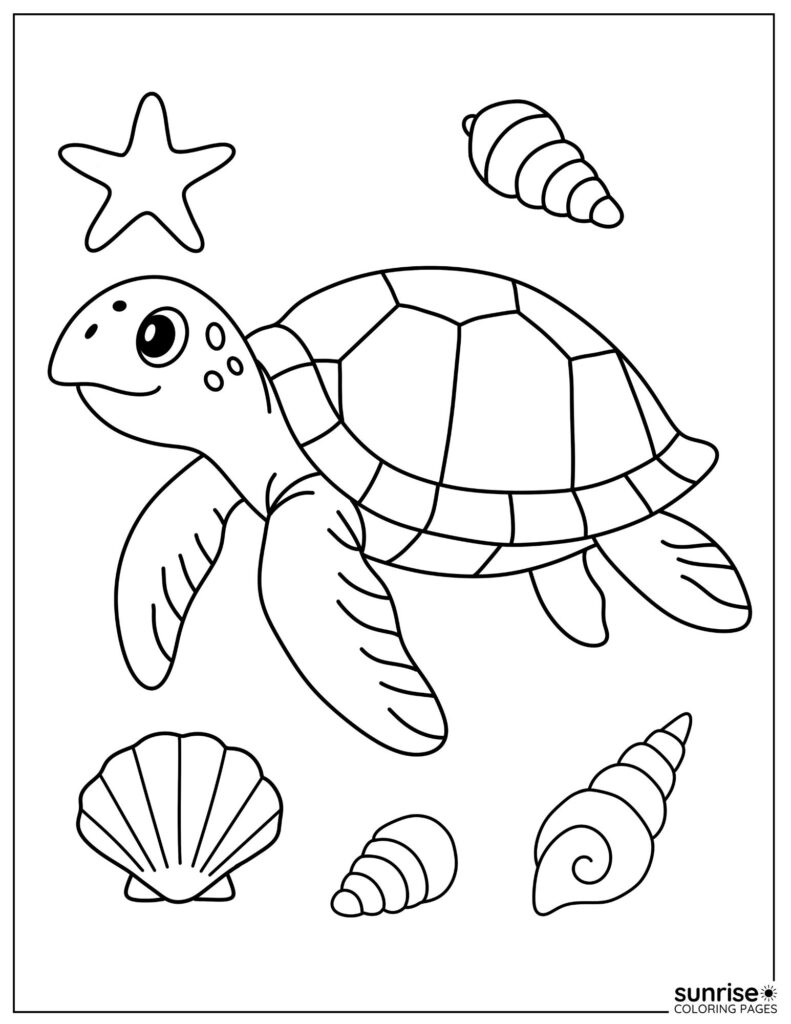 Sea Turtle With Shells Coloring Page