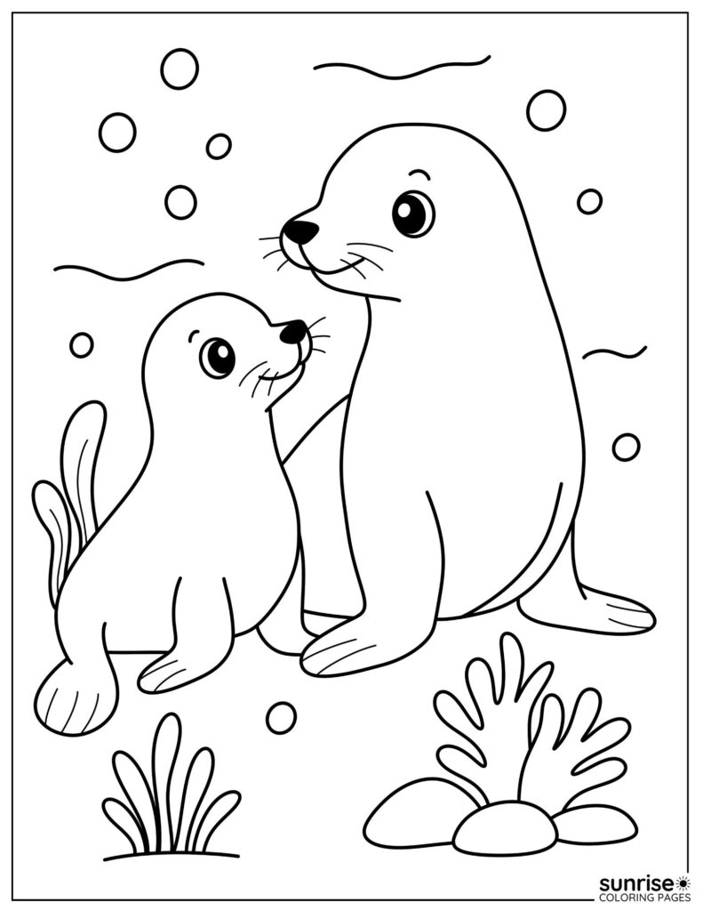 seals coloring page